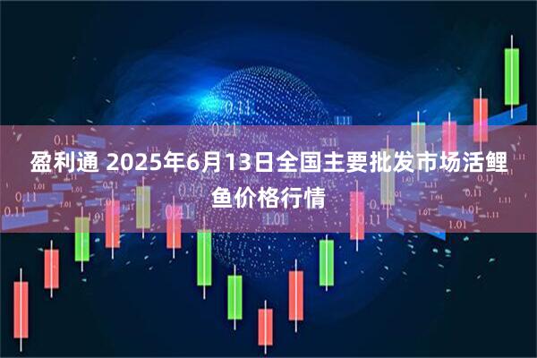 盈利通 2025年6月13日全国主要批发市场活鲤鱼价格行情