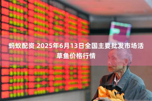 蚂蚁配资 2025年6月13日全国主要批发市场活草鱼价格行情