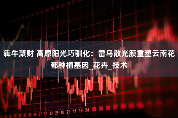 犇牛聚财 高原阳光巧驯化：雷马散光膜重塑云南花都种植基因_花卉_技术