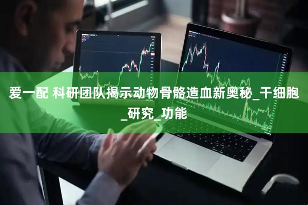 爱一配 科研团队揭示动物骨骼造血新奥秘_干细胞_研究_功能