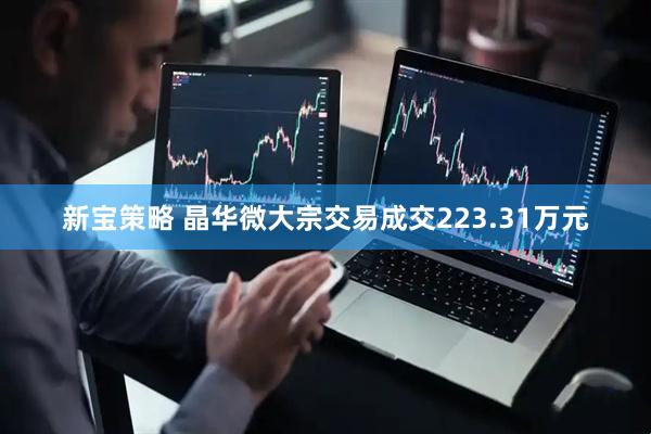 新宝策略 晶华微大宗交易成交223.31万元
