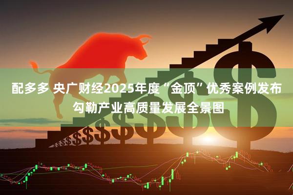 配多多 央广财经2025年度“金顶”优秀案例发布 勾勒产业高质量发展全景图